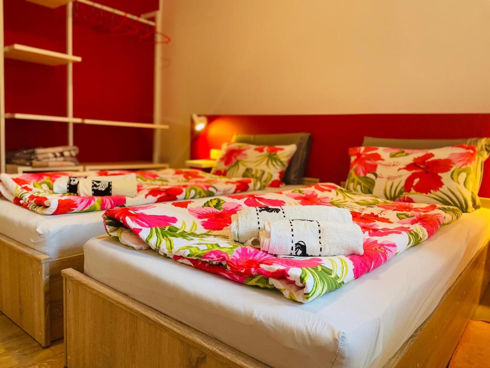 Boutique Apartment With Private Pool For Your Exclusive Use Novigrad Istria Buitenkant foto